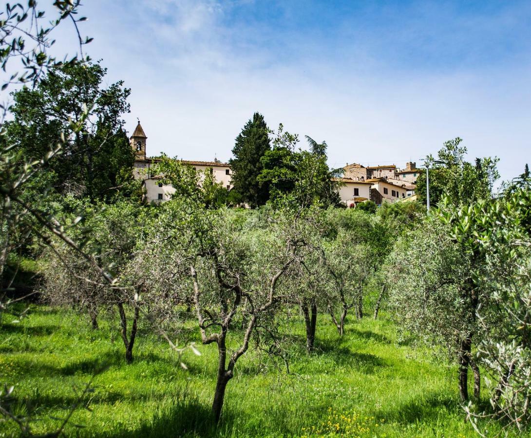 Orciatico Tuscan Retreat מראה חיצוני תמונה